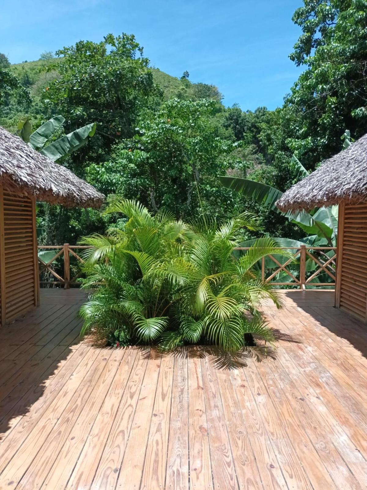 לאס טרנאס Samo Eco Lodge מראה חיצוני תמונה