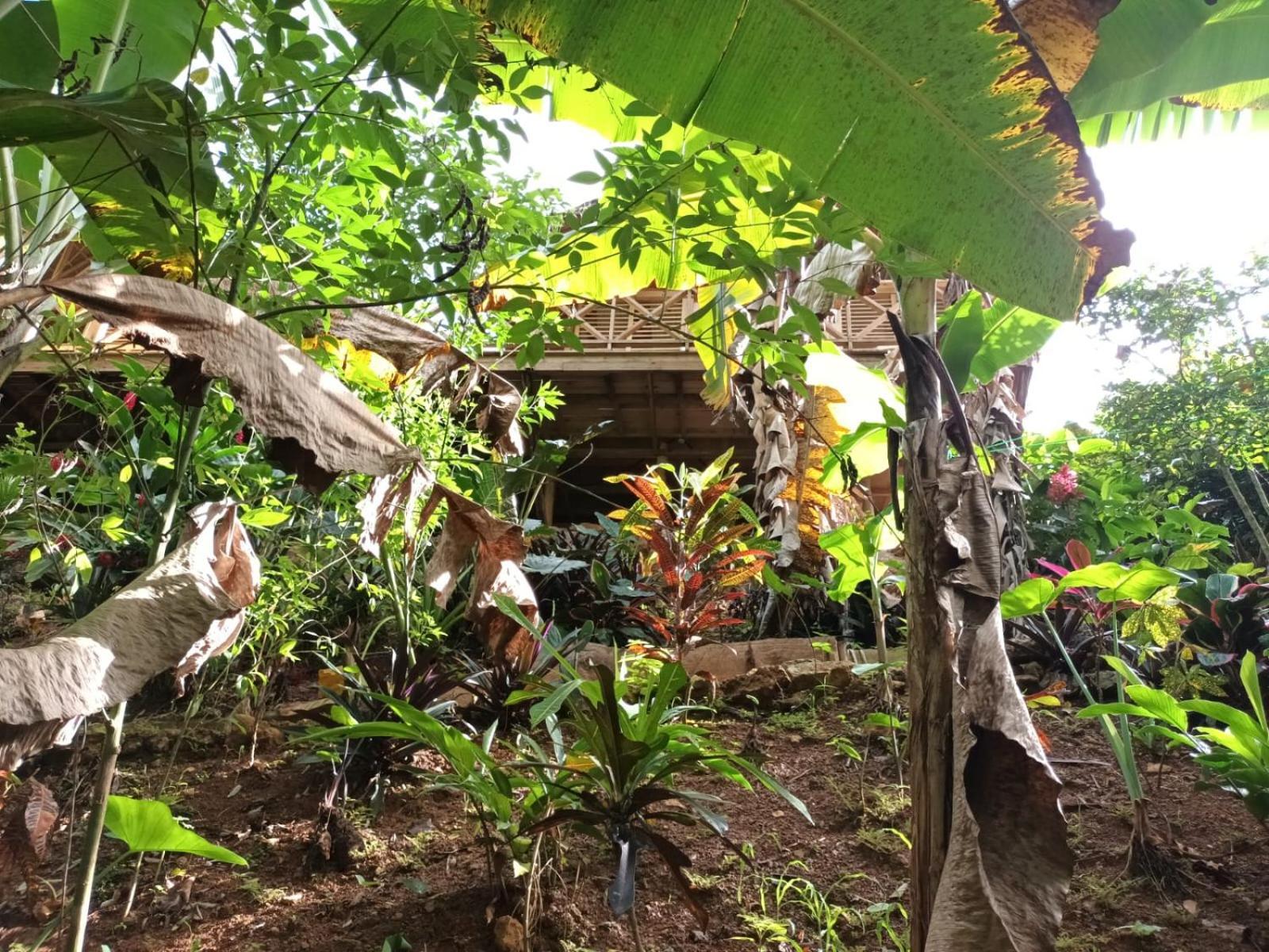 לאס טרנאס Samo Eco Lodge מראה חיצוני תמונה