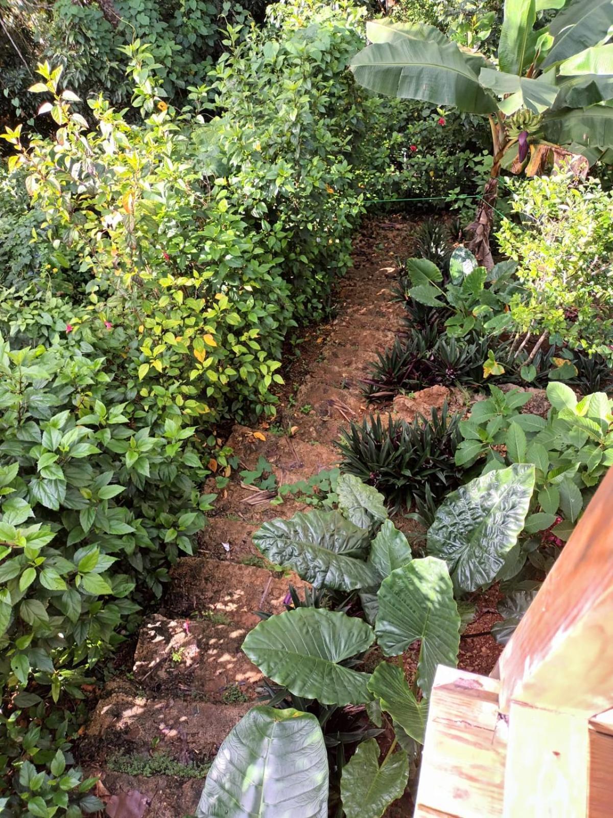 לאס טרנאס Samo Eco Lodge מראה חיצוני תמונה